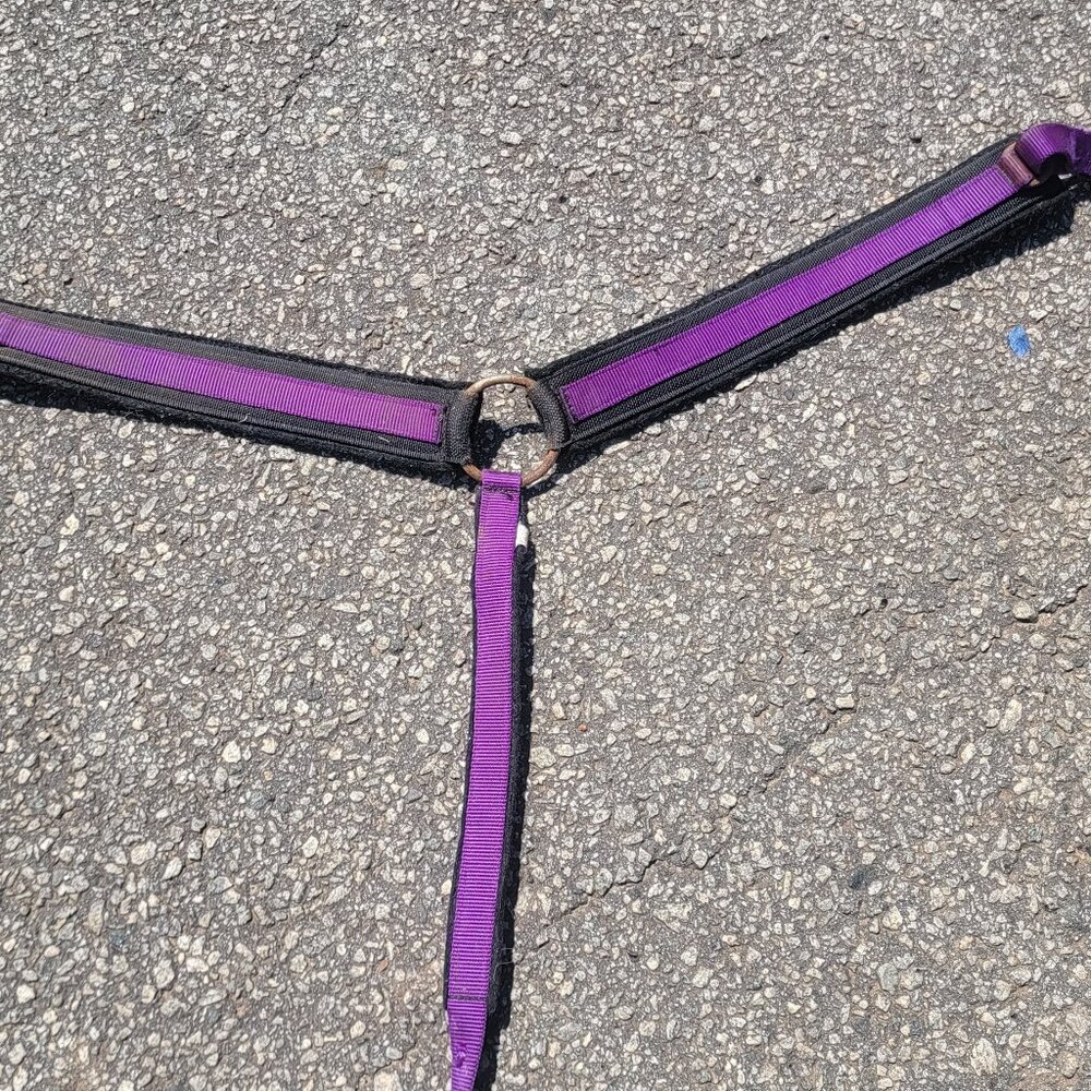 Triple E Purple Western Breast Collar